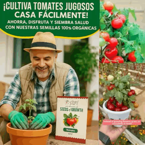 Semillas avanzadas😍 frutos rojos en casa